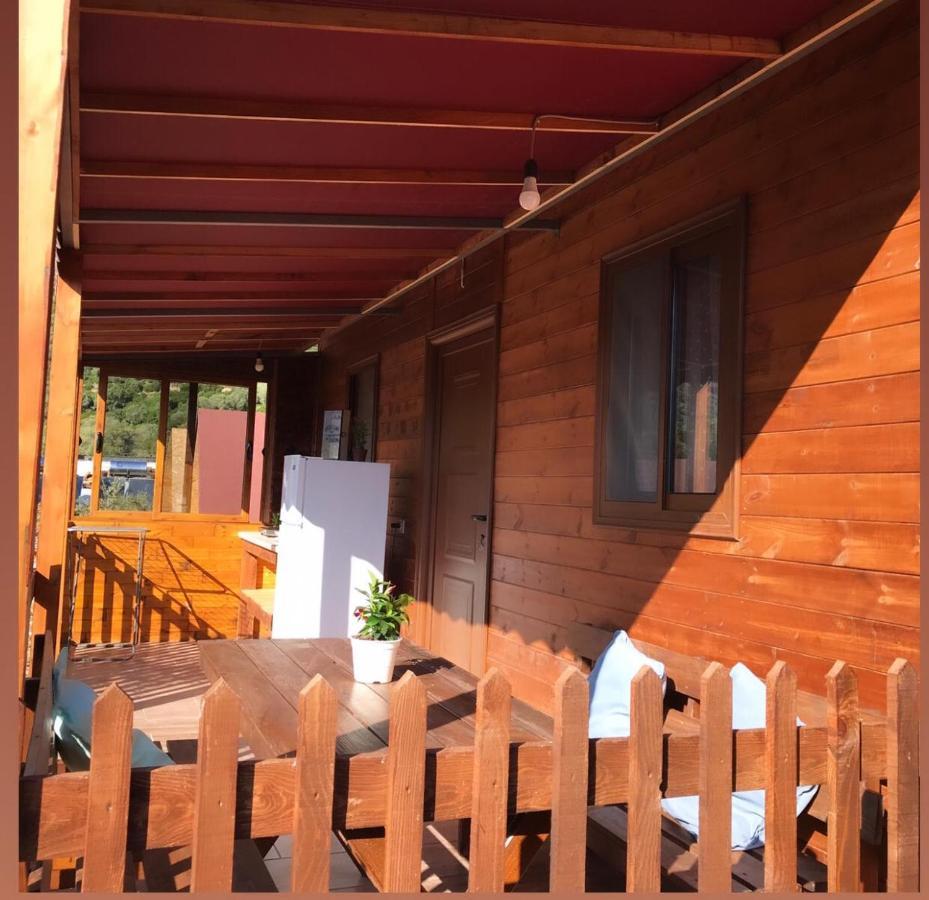 Violet Village Borsh Exterior photo
