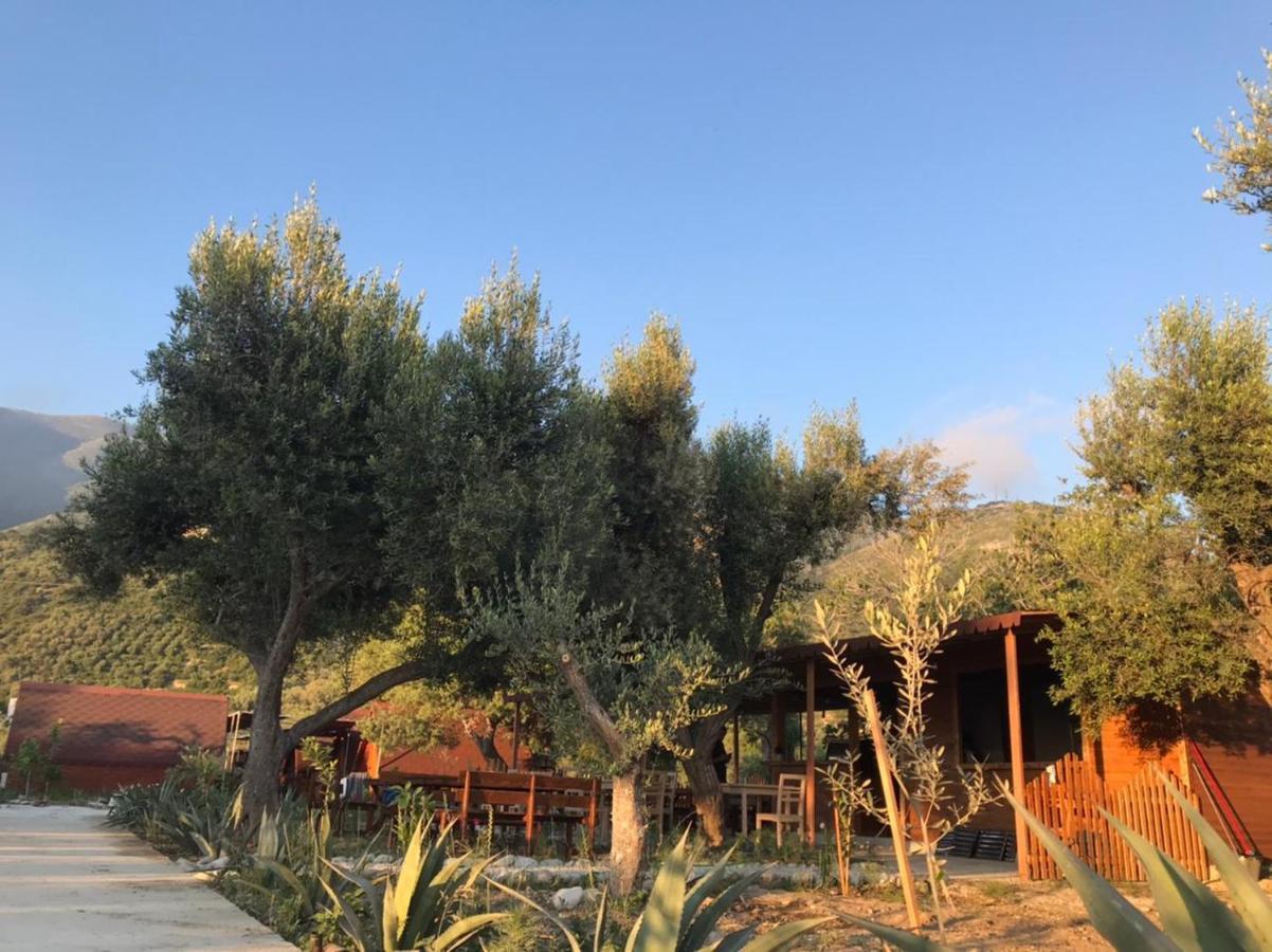 Violet Village Borsh Exterior photo
