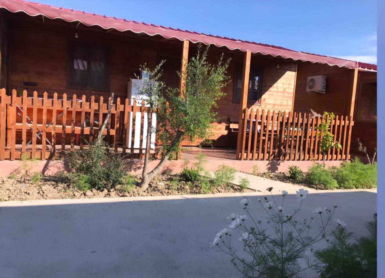 Violet Village Borsh Exterior photo