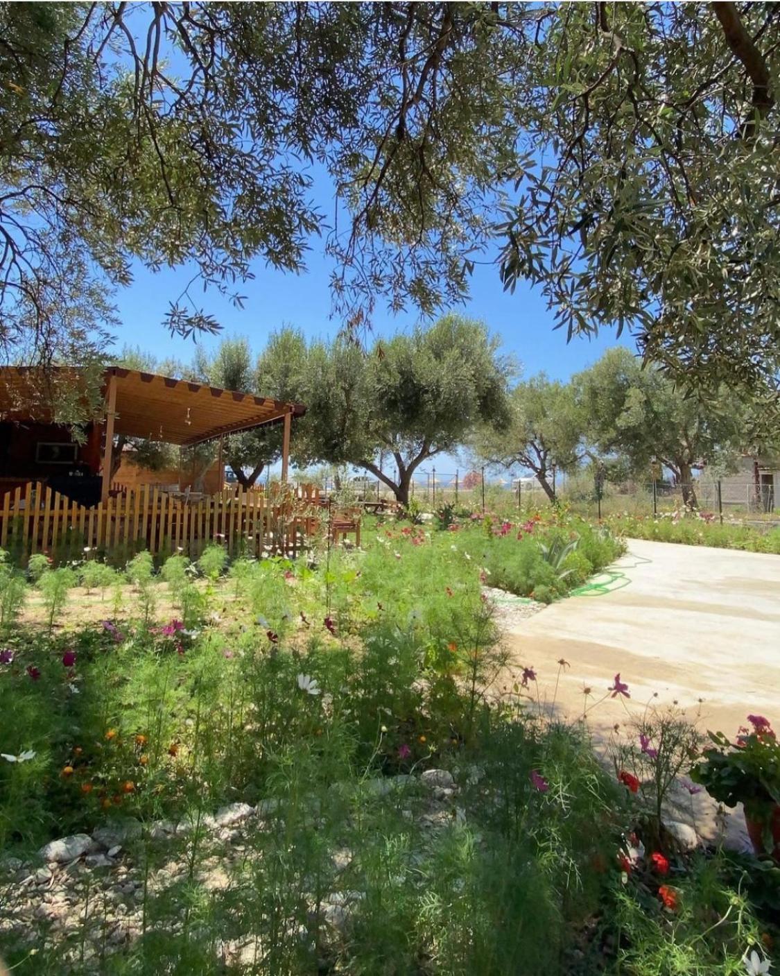 Violet Village Borsh Exterior photo